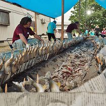 生ビ＆鮎まつり